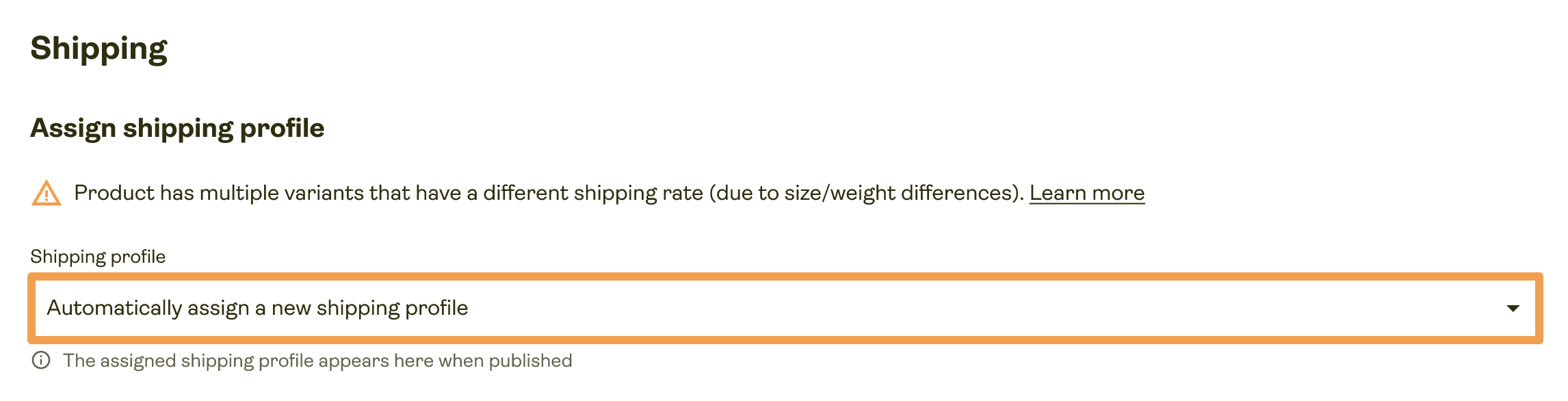 etsy-publishing-error-2.png