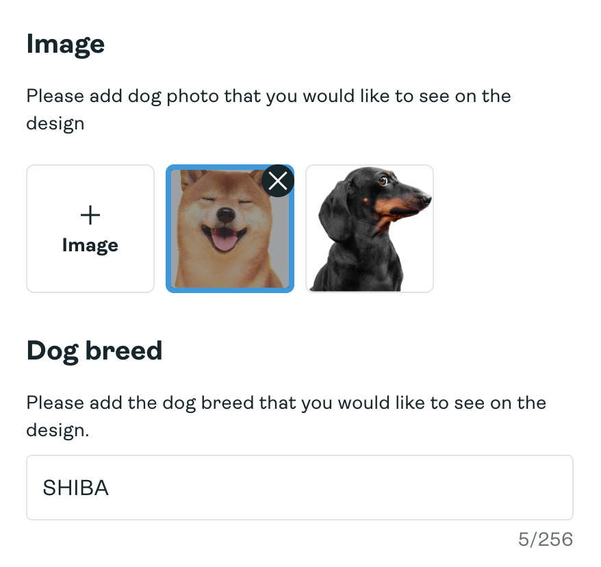 Image upload and text entry field in Personalization Hub.