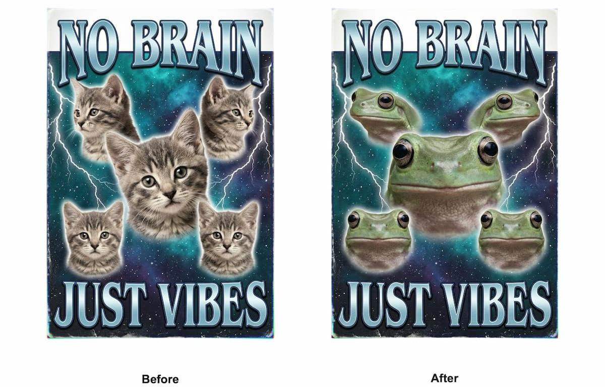 No Brain Just Vibes design with kitten heads edited to show frog heads instead.